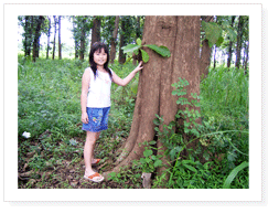 Kid and Teak Tree